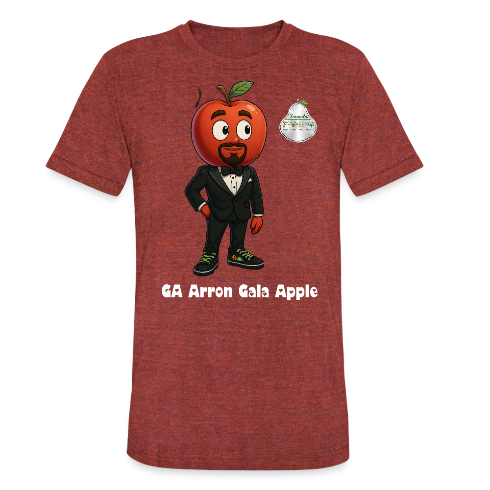 Formula Unisex Tri-Blend T-Shirt - heather cranberry