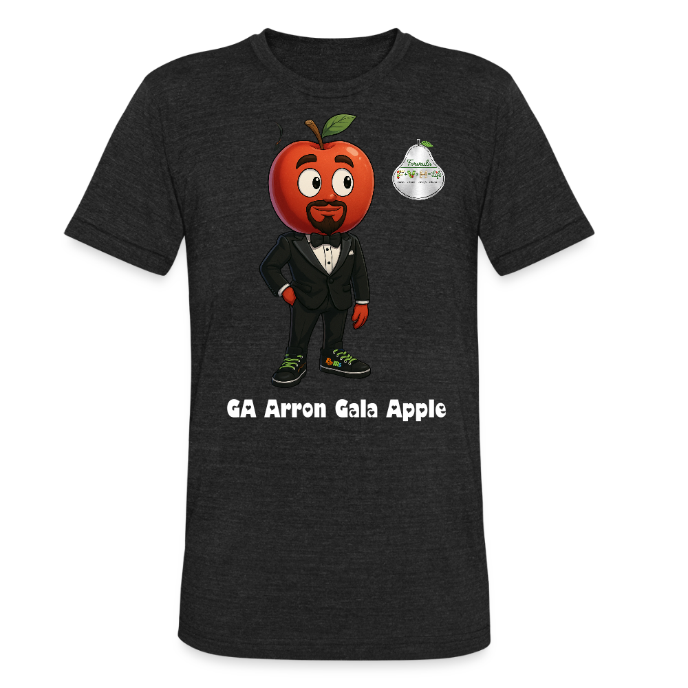 Formula Unisex Tri-Blend T-Shirt - heather black